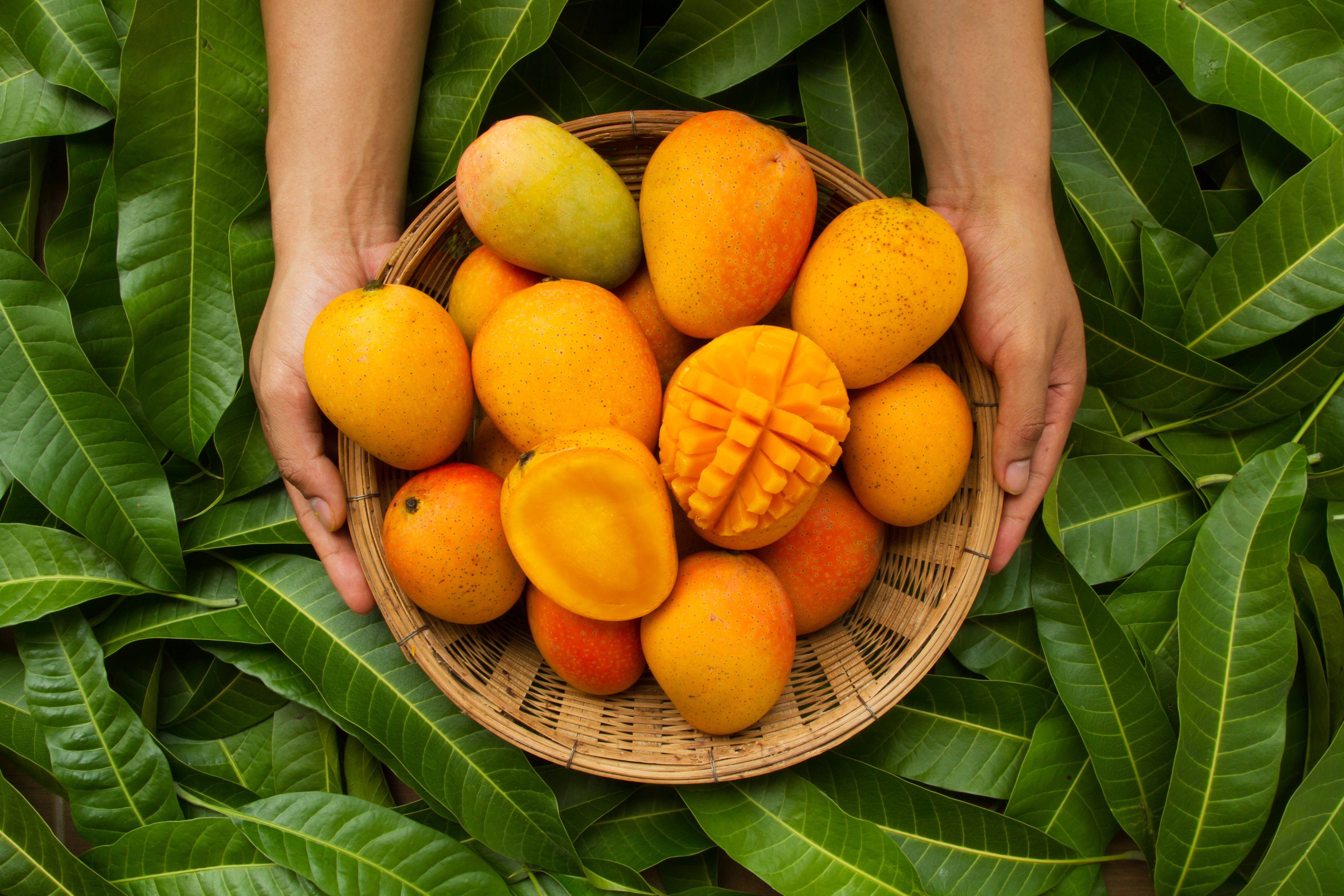 Le beurre de Mangue
