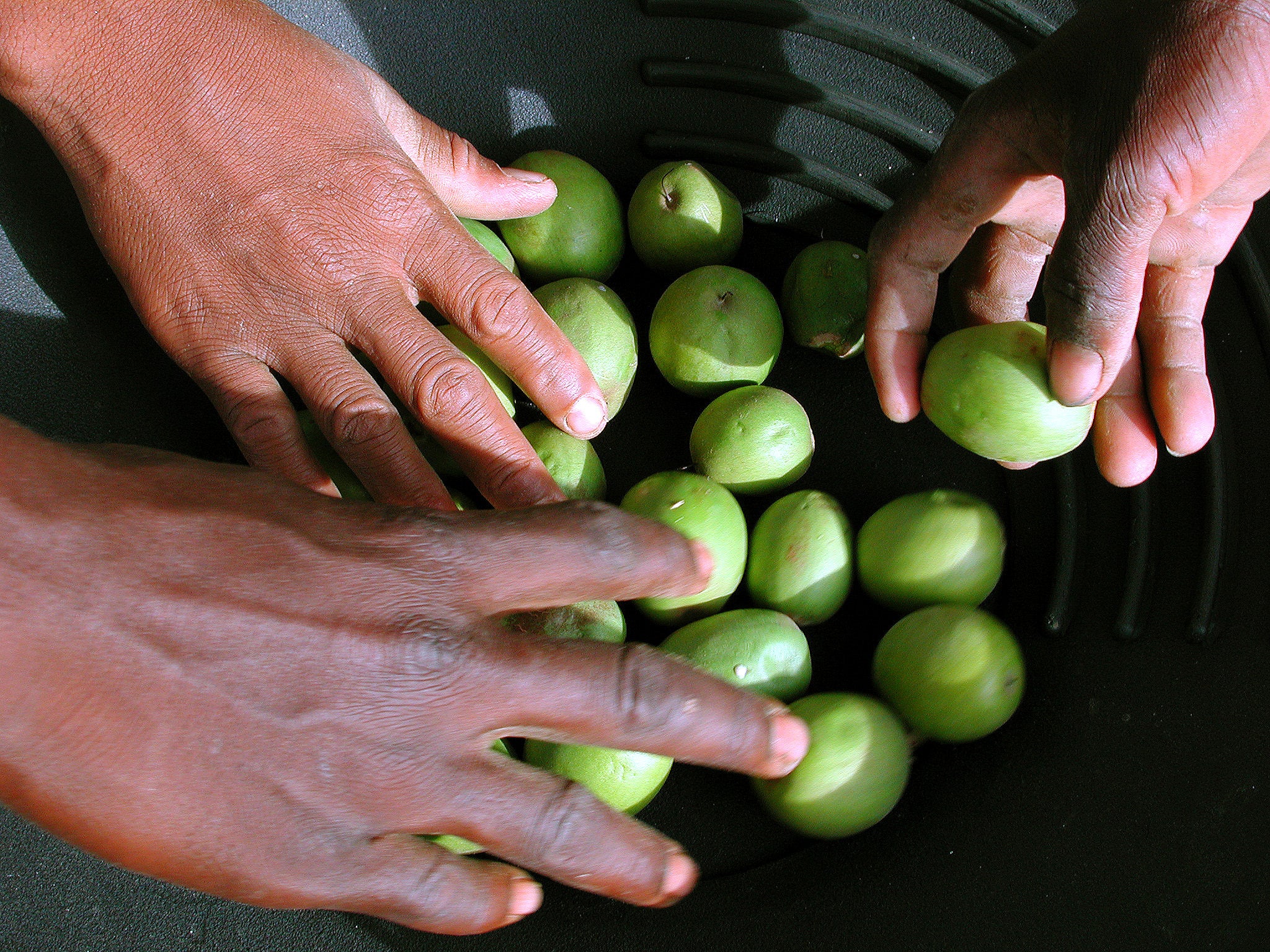 Les différents beurres d'Afrique bon pour la peau